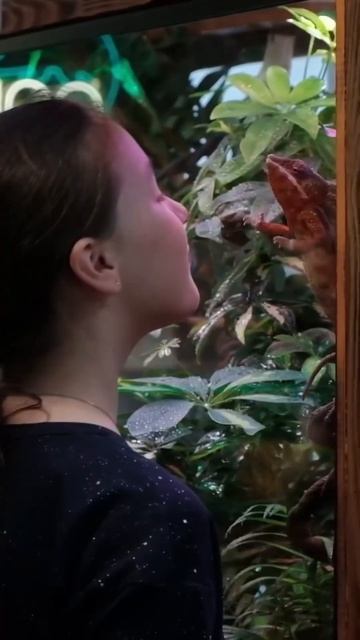 куда сходить в Питере? показываю место где можно погладить и купить рептилий 🦎#питер #спб