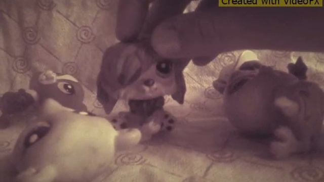 *Клип кукушка* смотреть онлайн