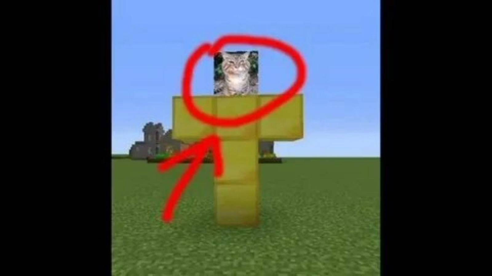 стрим по пвп майнкрафт