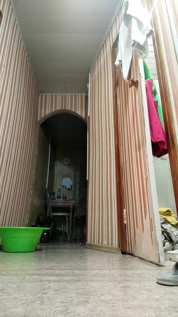 14 декабря 2023 г.