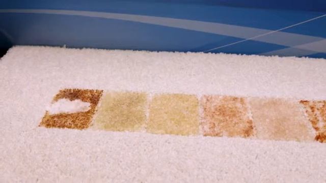 Cyber Monday Alert! Woolite INSTAclean Permanent Stain Remover, 22oz (Pack of 2), 21799 смотреть онлайн