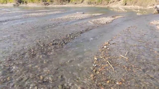 Осенняя Катунь,Верх-Катунское смотреть онлайн