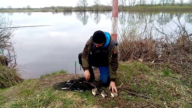 Супер рыбалка на Березине! смотреть онлайн