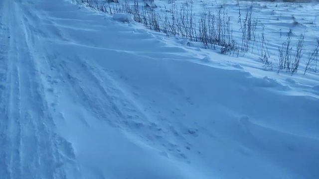 Жизнь в деревне.Обзор жилой улицы.Заброшки.Дом на продажу. смотреть онлайн