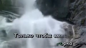 КАРАОКЕ  020 ПУСТЬ ТЕБЕ ПРИСНИТСЯ ПАЛЬМА ДЕ МАЙОРКА  ШУФУТИНСКИЙ М  Karaoke121