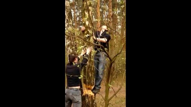 В лесу раздавался топор дровосека смотреть онлайн