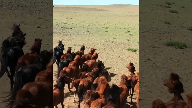 Снежанна Беликова - Присядь, подруга, отдохни!