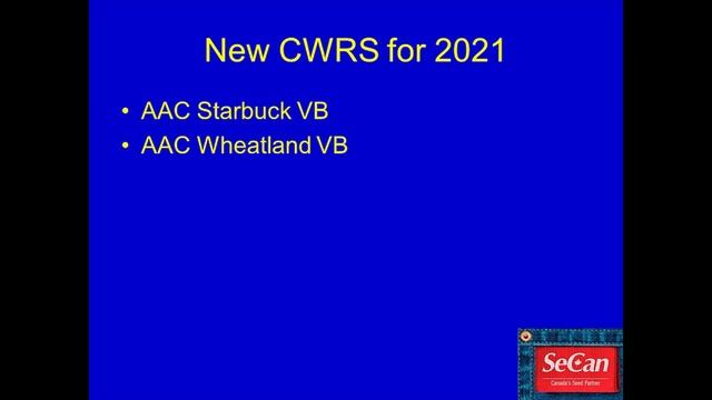 Think Wheat 2019 - New Crop Varieties (Jim Downey - SeCan) смотреть онлайн