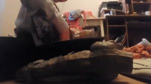 #распаковка тиранозавра рекса от фирмы маттел