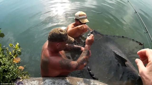 Shaun's 155 lb Siamese carp Gillhams смотреть онлайн