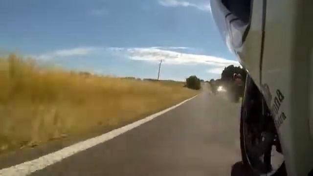 Везучая коала смотреть онлайн