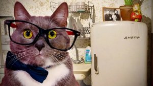 НОСТАЛЬГИЧЕСКАЯ КВАРТИРА БАБУШКИ ➤ PANELKA #2