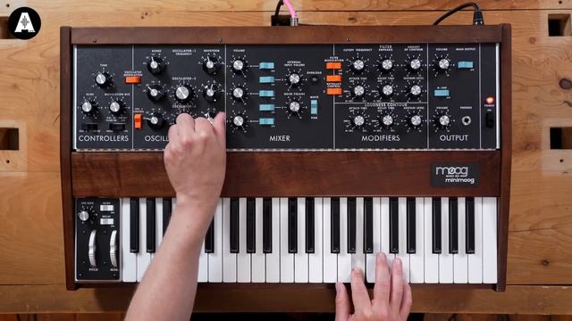 Moog Minimoog Model D 2022 Reissue! - Jack's Impressions!