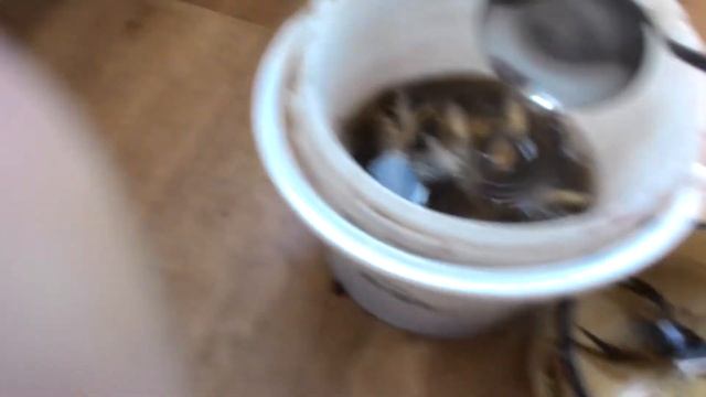 приехал с рыбалки, привез пескарей и двух раков! (видео с моего старого канала) смотреть онлайн