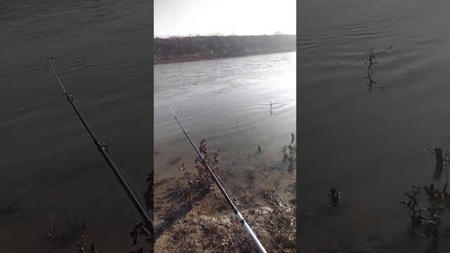 Дау Балык смотреть онлайн