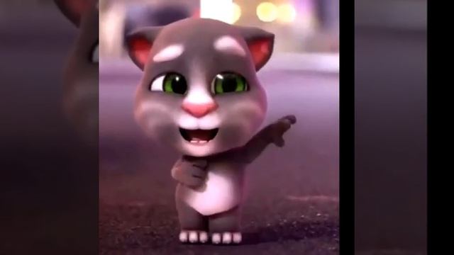 Chu Meo Tom Nhay Mua Rat Dang Yea....