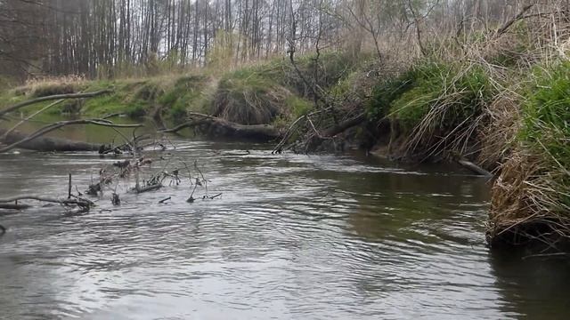 2/4   4-tägige Kajakfahrt Zu Ostern Auf Der Zusam In Bayern (Zusmarshausen - Altenmünster)