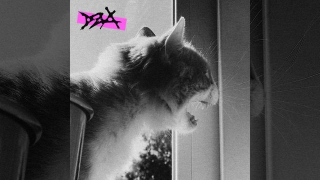 Stop Me!! смотреть онлайн