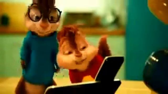 Чёрные глаза бурундуки