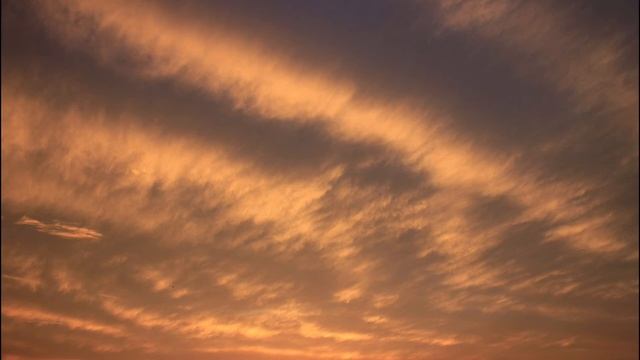 KK A09 Miyagi - 1 Hour