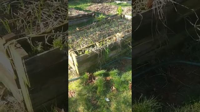 Pallet project; DIY raised beds for gardening смотреть онлайн