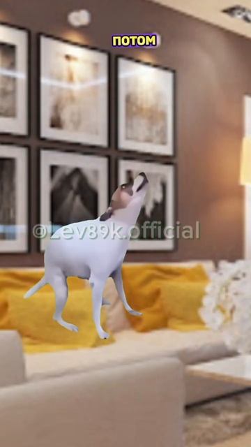 А как появились люди?🤔🤨#хочуврек#котики#футажи#shorts Автор звука:@kikkadim смотреть онлайн