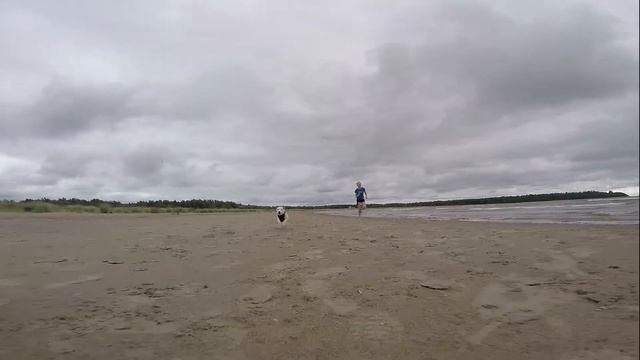 Dog Running On The Beach Crashes Into GoPro Camera In Slow Motion