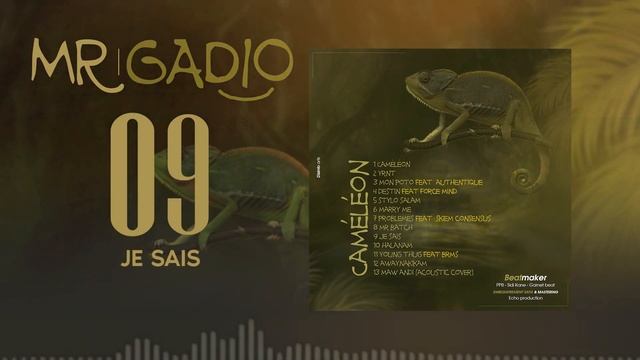 MR GADIO Je Sais (Audio) смотреть онлайн