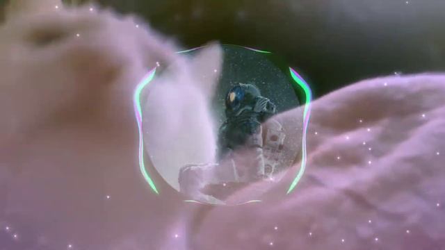 Ты похож на кота хочу забрать тебя домой (tbprxd remix) смотреть онлайн