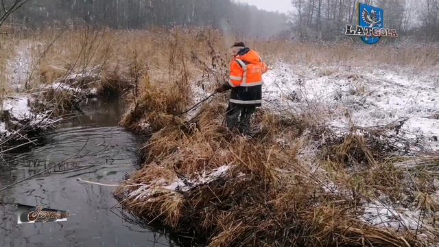 Субботний день. Дрова. Немного почистили речку. Бобры? Деревенские будни.