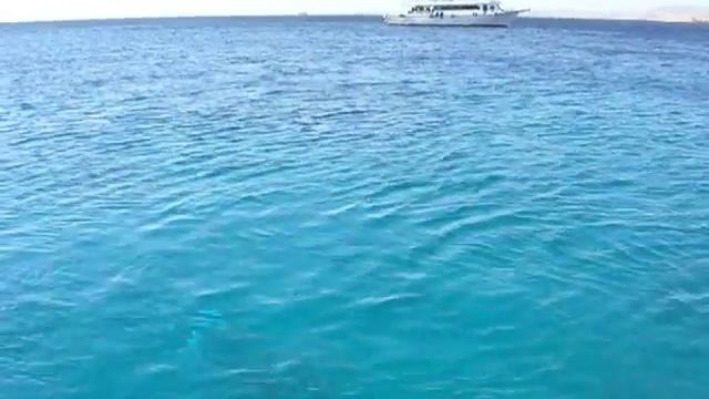 Catherine Marselle/Добываем деньги на следующий отпуск смотреть онлайн