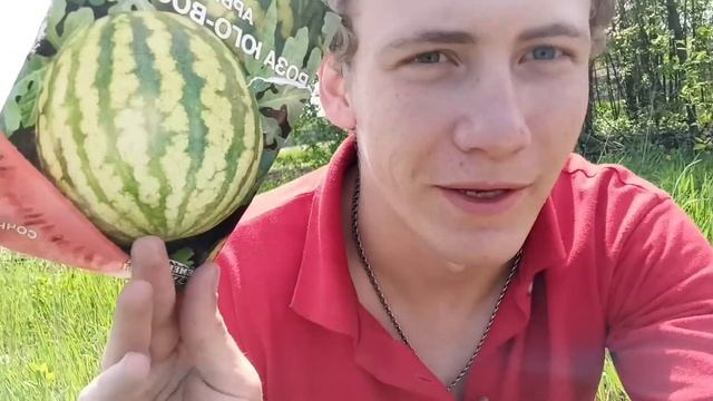 Мой огород, мой первый опыт) смотреть онлайн