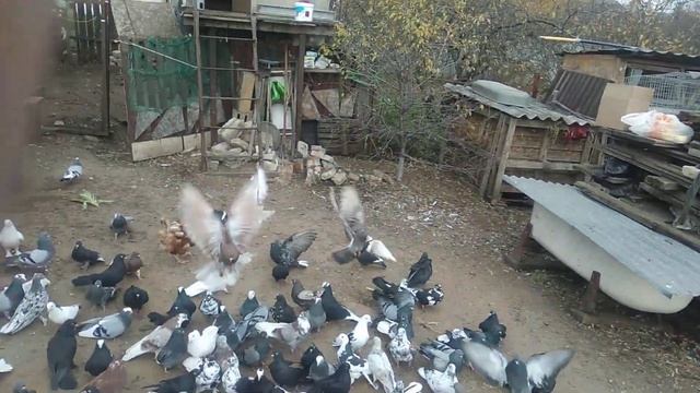 новенькие на улице смотреть онлайн