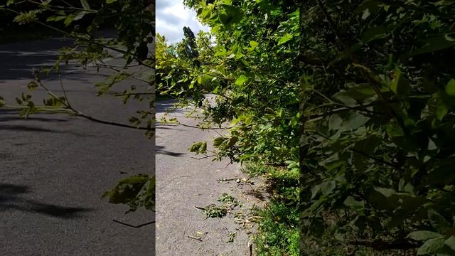 Кагарлык,промежуток жизни смотреть онлайн