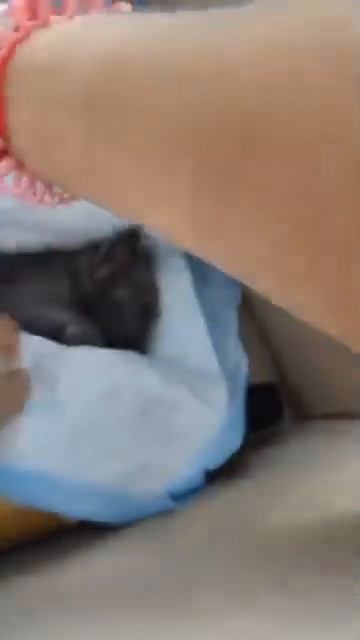 Врачи борются за её жизнь. смотреть онлайн