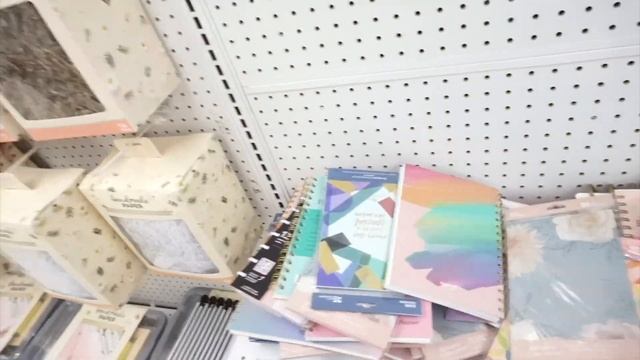 A New Release Planner SURPRISE?! | Happy Planner Shopping Vlog | Come Shop With Me