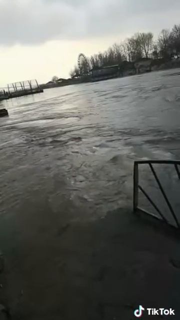 يا دجله لا نريد منك شي سوه جثث اولادنا смотреть онлайн