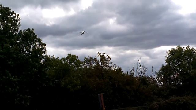 Falconry Day - 6 of 21 смотреть онлайн