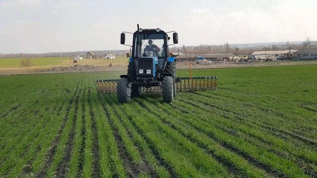 Мтз 892 с ратационной бороной по озимой пшенице. смотреть онлайн