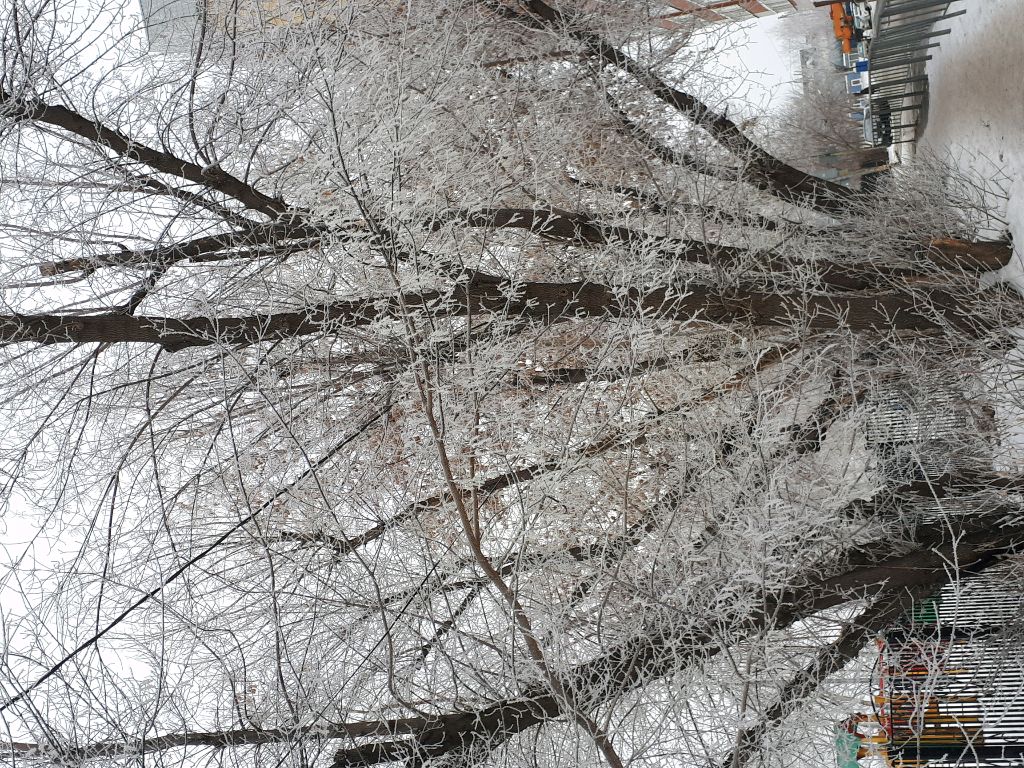 брлсила подруга+