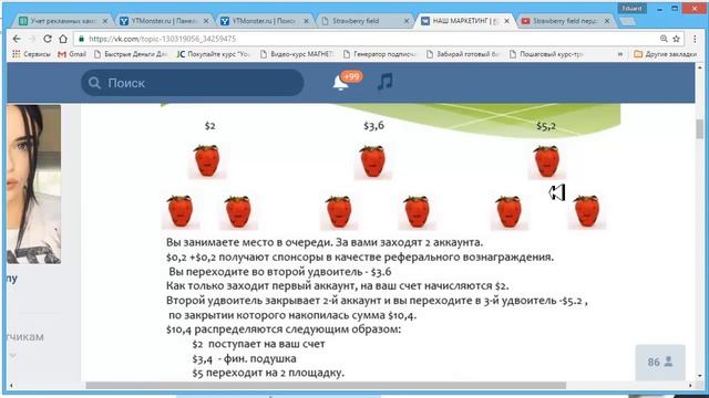 Клубничная поляна старт