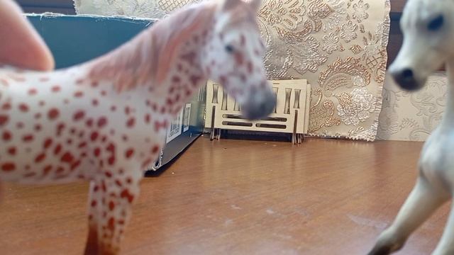 знакомство смотреть онлайн