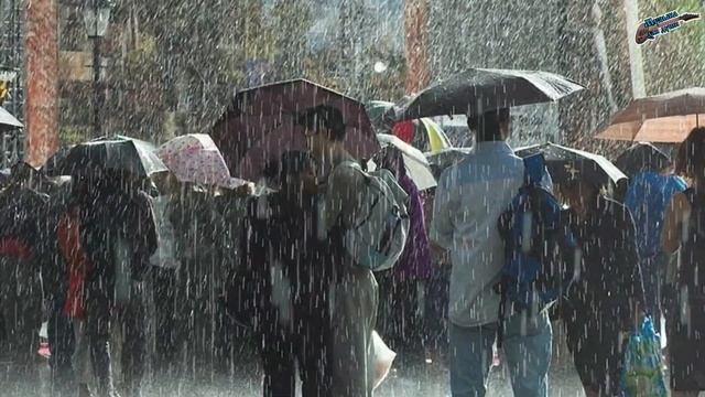 Забытые песни и музыка. Чиж & Co. Жёлтый дождь. #music #song смотреть онлайн