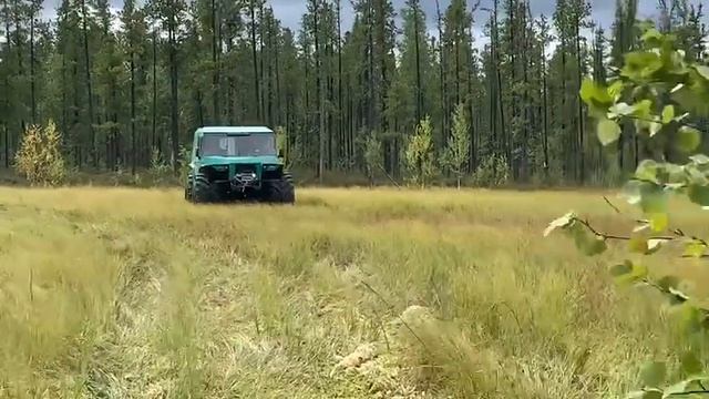 ОГР через ковровое болото