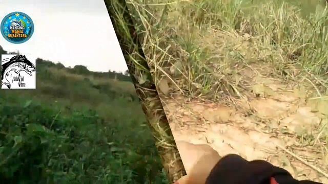 Banyak Babonnya. WARNING SPOT, Setling Pound Area Mine Coal.