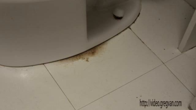 Loose Toilets Can Damage Wax Seal Creating a Water Leak at Floor смотреть онлайн