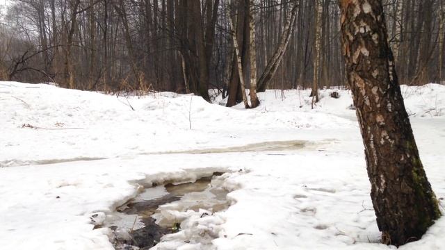 Снег тает смотреть онлайн