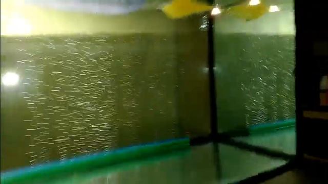 21 марта перенос мальков