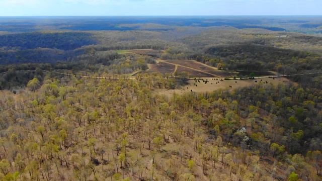 $500 Down Owner Financed Missouri Ozark Acreage w/ OLD homestead? & 300 year old Oak tree! - ID#WR0 смотреть онлайн
