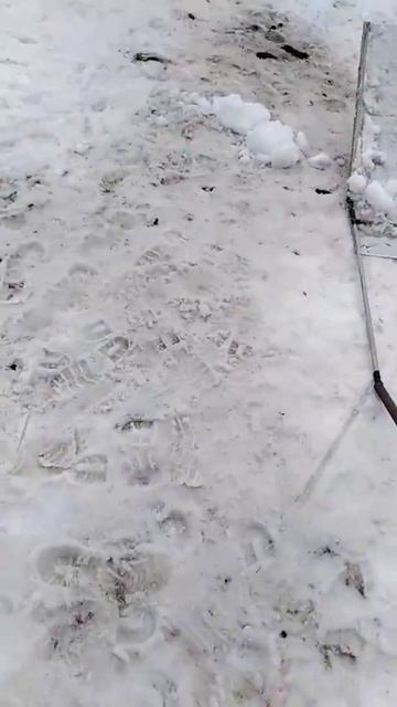 Чудо скребок для пчеловода смотреть онлайн